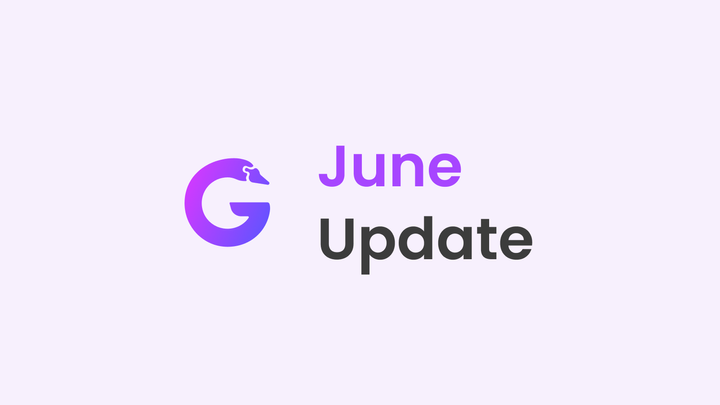 GooseFX - June Update (2024)